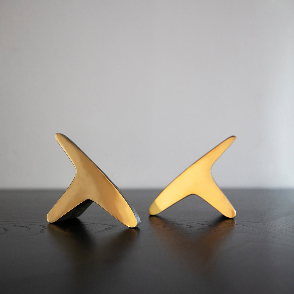 A pair of 'T' shaped bookends by Carl Auböck, crafted in the Werkstätte Auböck workshop, Austria, 1948. These bookends exemplify mid-century modern design and Austrian craftsmanship.