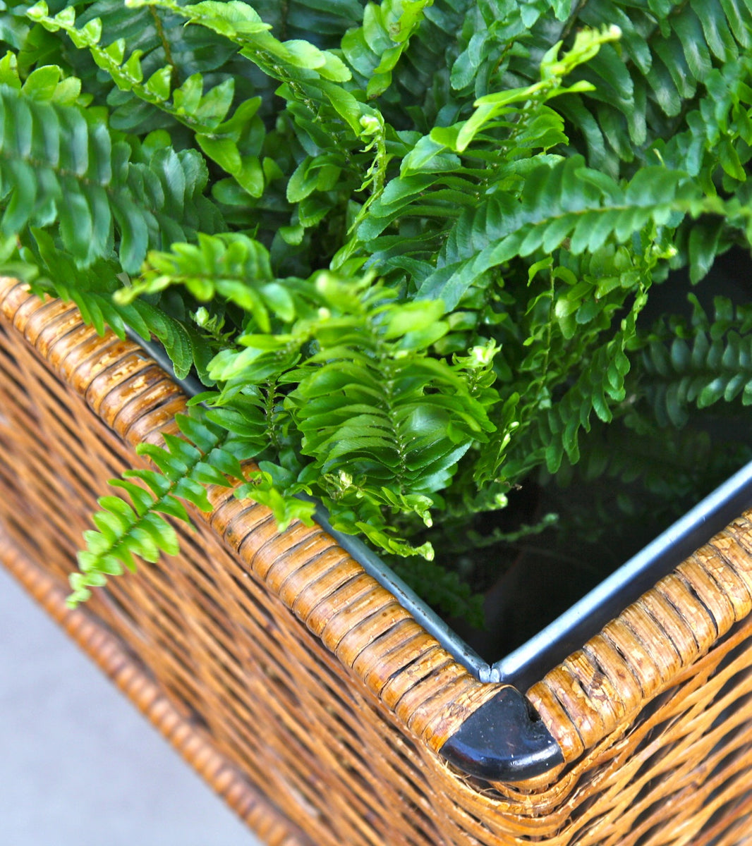 Wicker Planter  Carl Auböck Wicker Planter  - Image 6